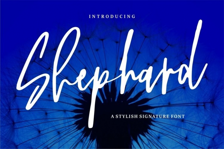 Web Shephard Font Download