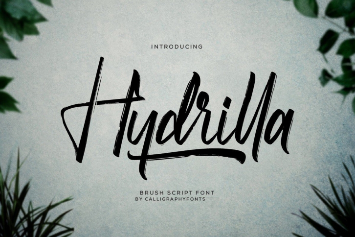 Hydrilla Font Download