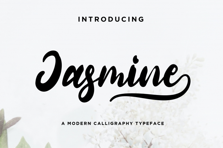 Jasmine Font Download