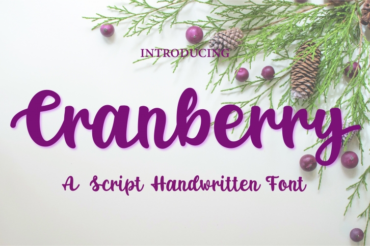 Cranberry Font Download