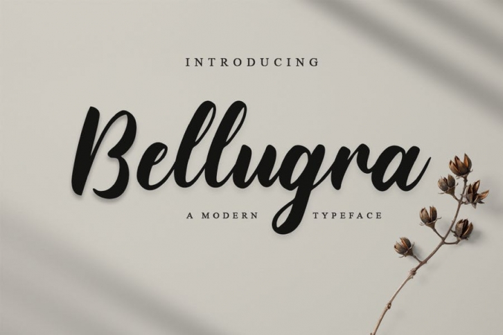 Bellugra - Handwriting script font Font Download Bellugra - Handwriting script font Font Download