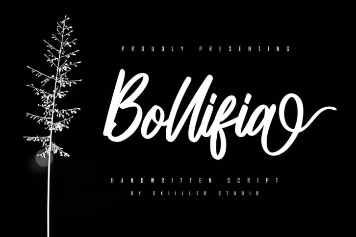 Bollifia Handwritten Script Font Font Download