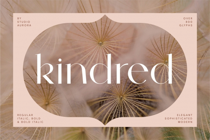 Kindred Font Download