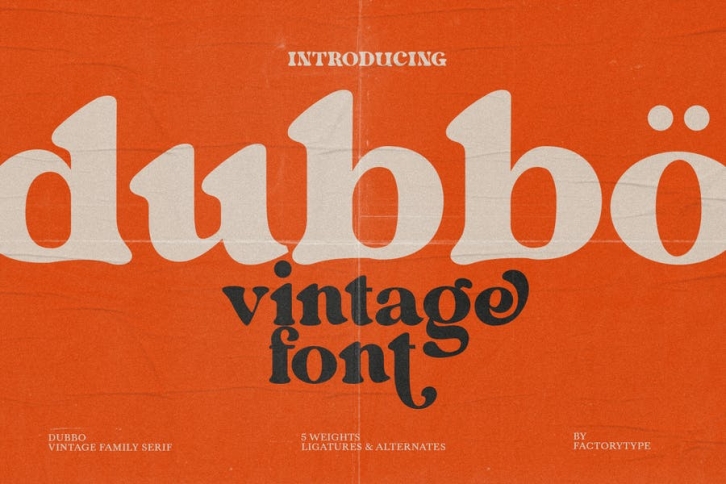 Dubbo - Retro Serif Font Font Download