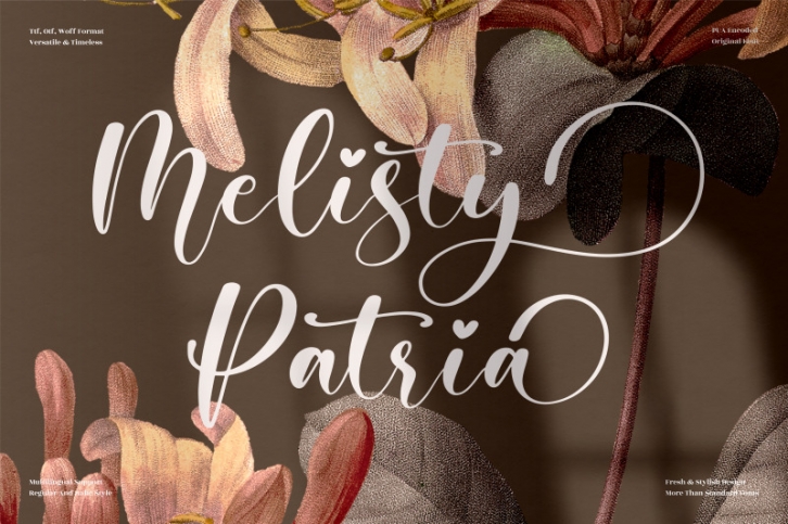 Melisty Patria - Beautiful Script Font Font Download