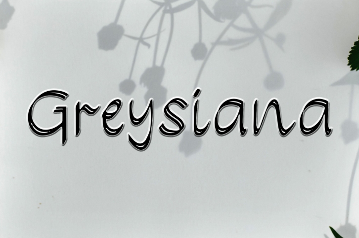 Greysiana Font Download