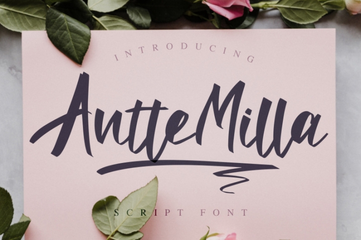Antte Milla - Elegant Script Font Font Download