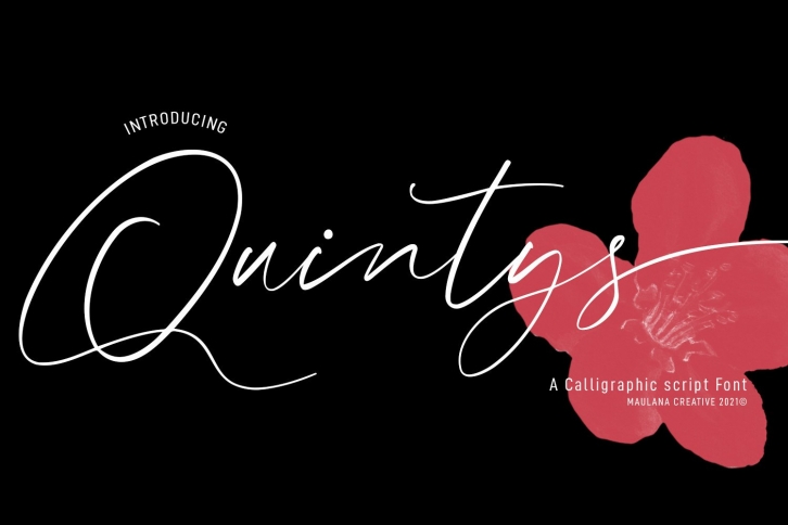 Quintys Font Download