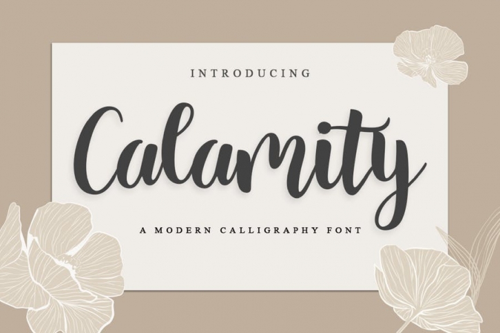 Calamity – Handwriting Script Font Font Download