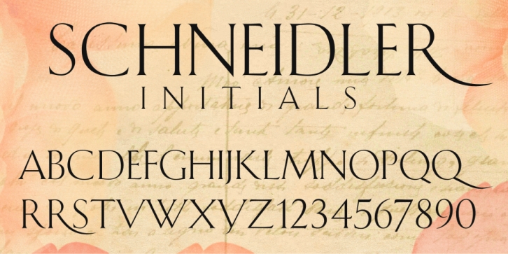 Schneidler Initials Font Download