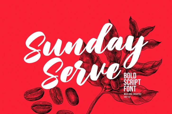 Sunday Serve Bold Script Font Download