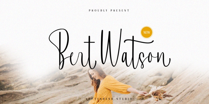 Bert Wats Font Download