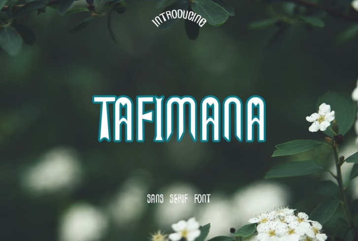 Tafimana Font Download