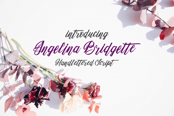 Angelina Bridgette Font Download
