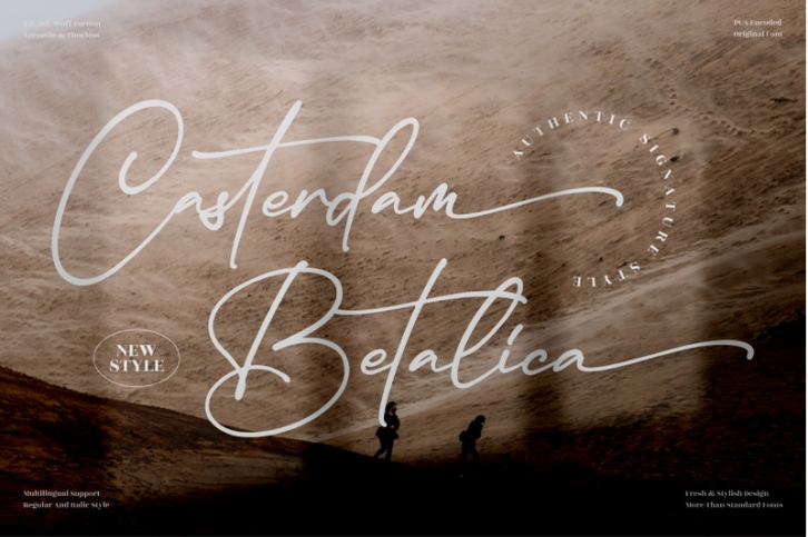 Casterdam Baletica - Stylish Signature Font Font Download