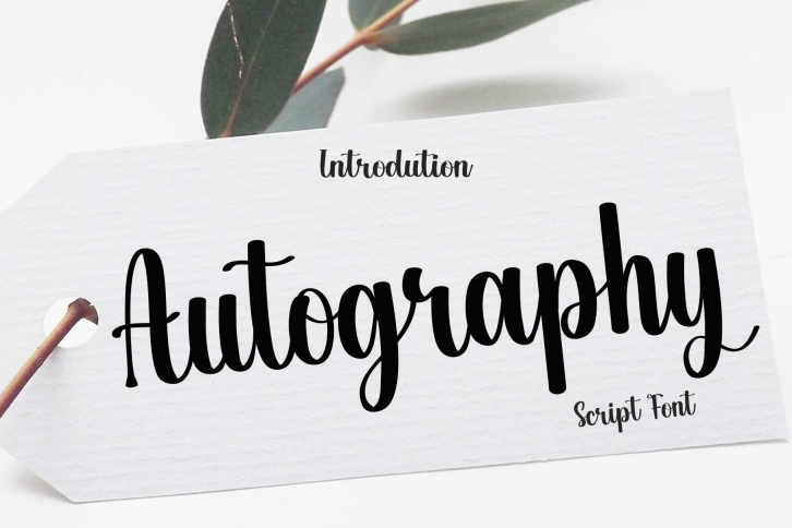 Autography Font Download