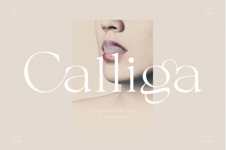 Calliga // Stylish Ligature Serif Font Download