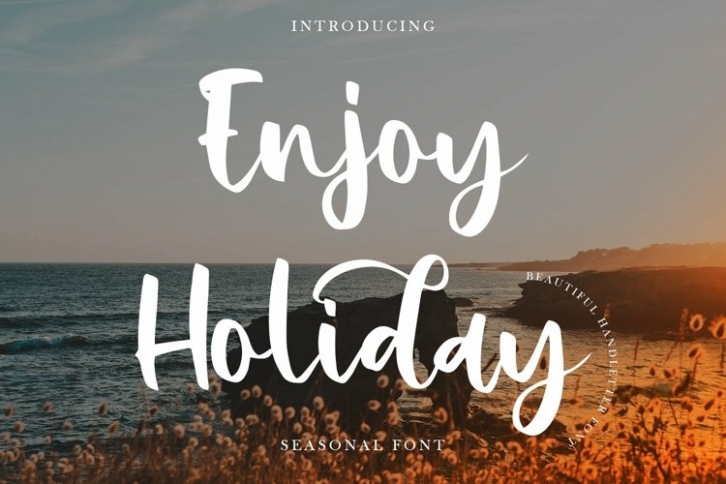 Web Enjoy Holiday Font Download