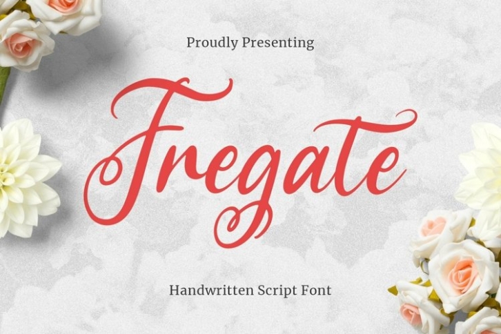 Web Fregate Font Download