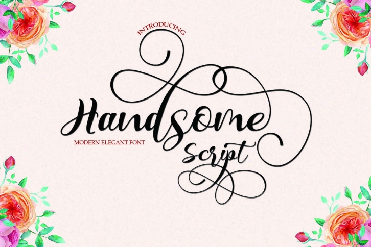 Handsome Script Font Download