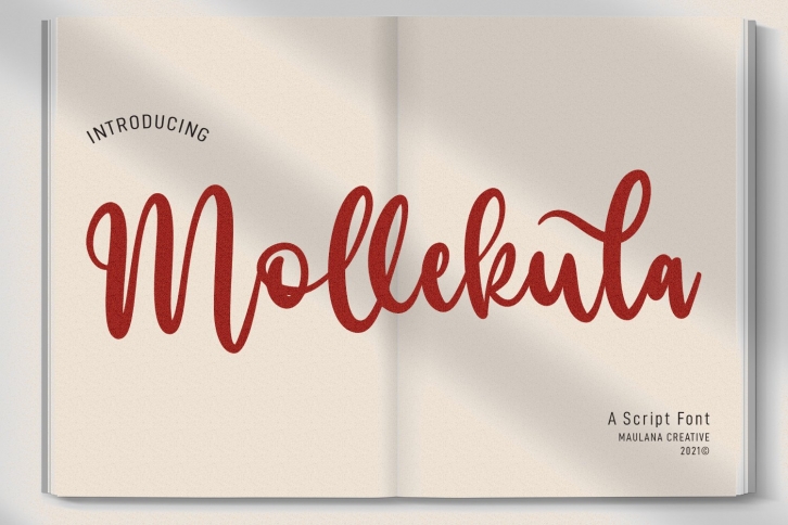 Mollekula Script Font Download