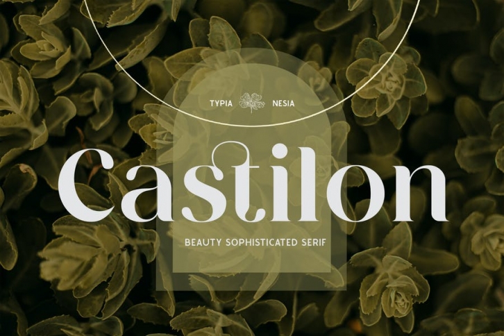 Castilon - Elegant Beauty Sophisticated Serif Font Font Download