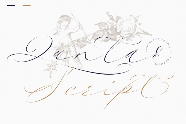 Quntas Script Font Download