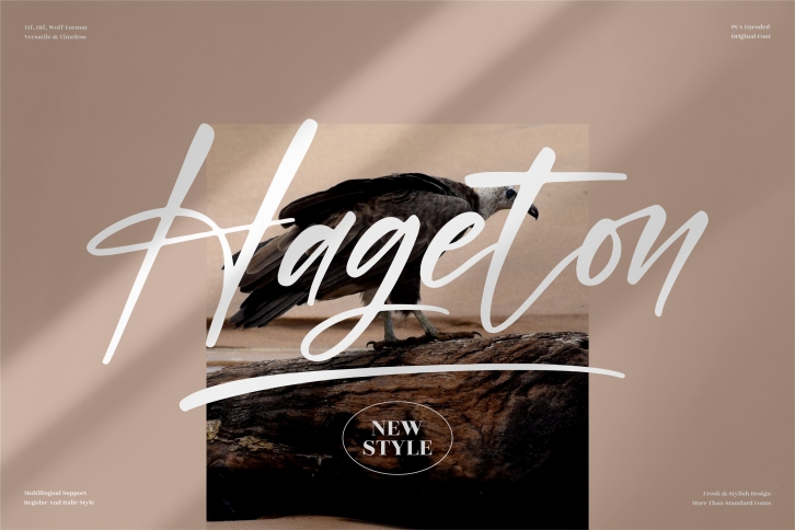 Hageton Font Download