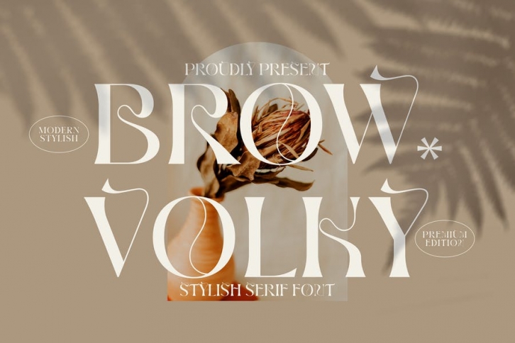 Brown Volky Stylish Serif Font LS Font Download