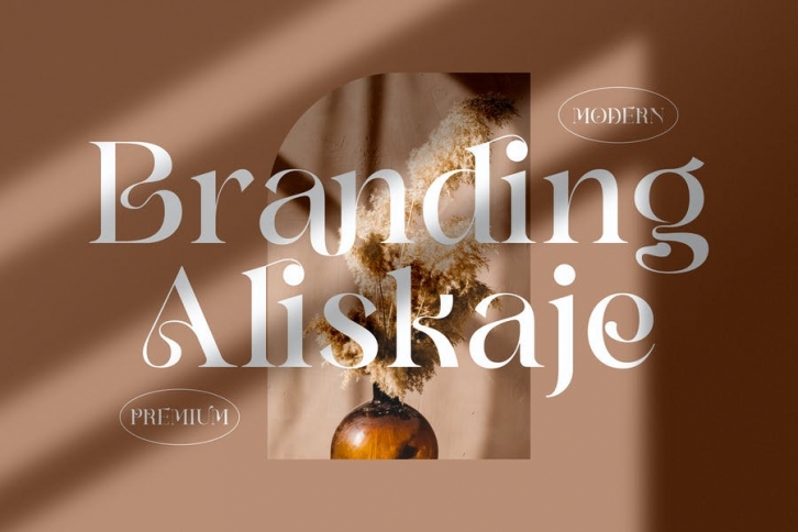 Branding Aliskaje Modern Serif Font LS Font Download