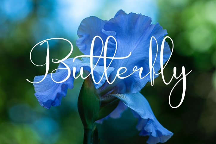 Butterfly Font Download