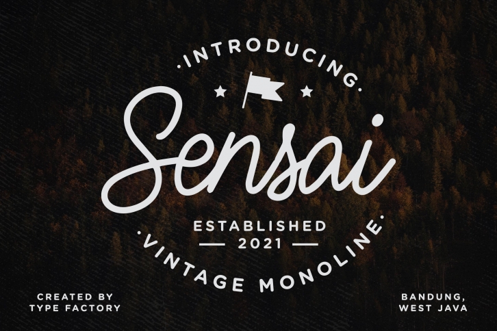 Sensai Vintage Monoline Script Font Download