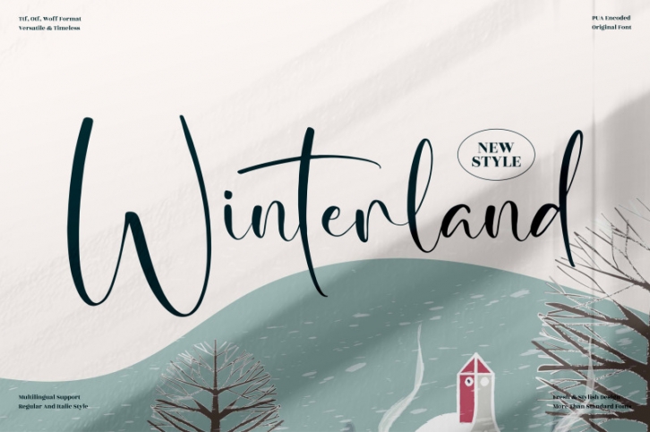 Winterland  Beautiful Script Font Font Download