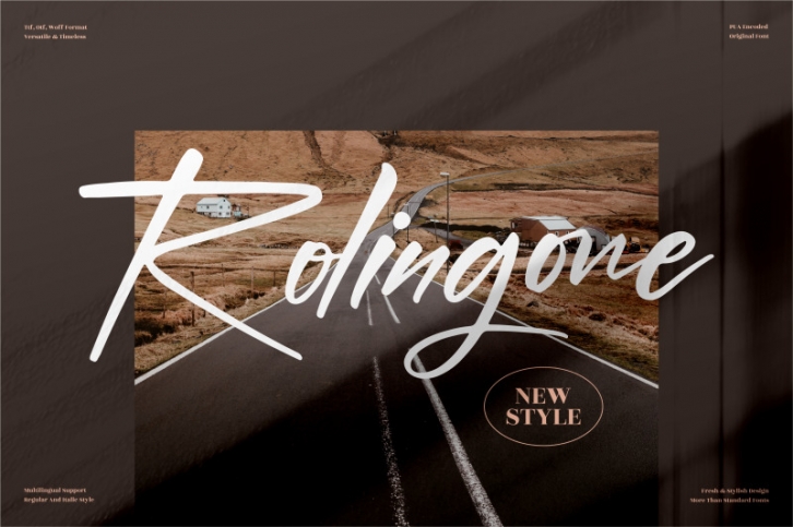 Rolingone  Handwritten Font Font Download