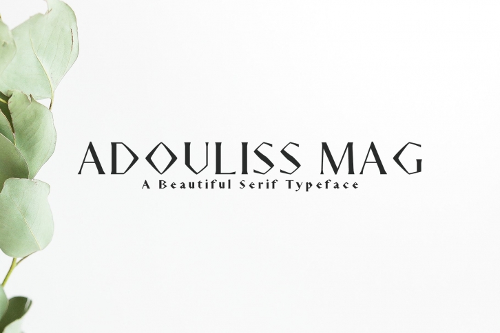 Adouliss Mag Serif Family Font Download