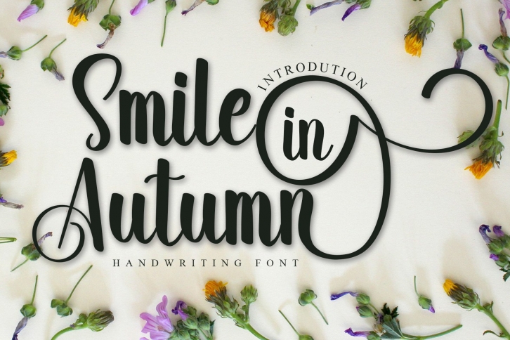 Smile in Autumn Font Download