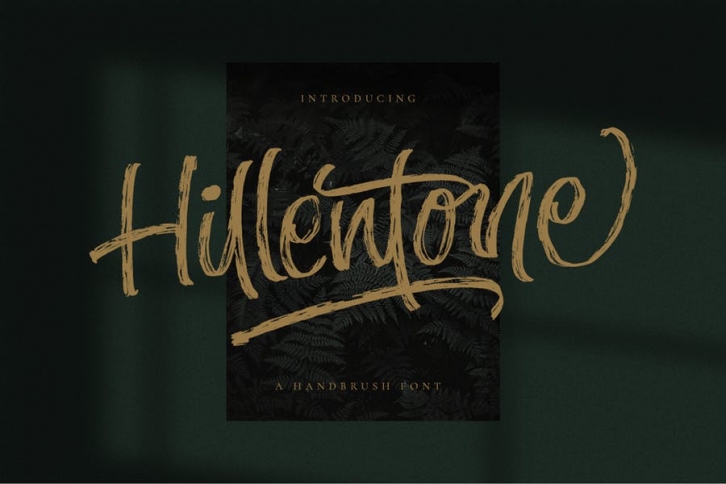 Hillentone - Brush Font Font Download
