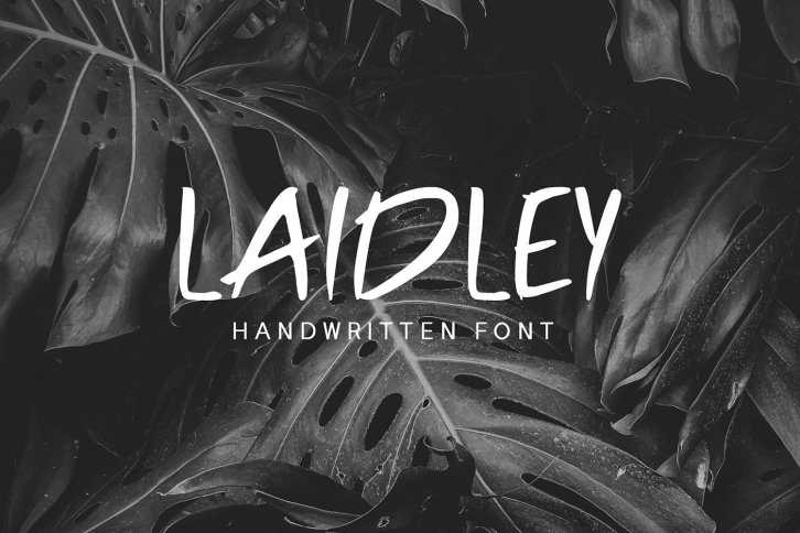 Laidley Font Download