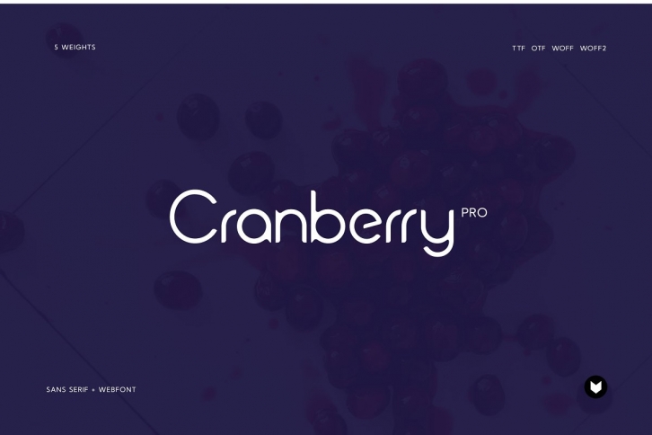 Cranberry Display Typeface Font Download