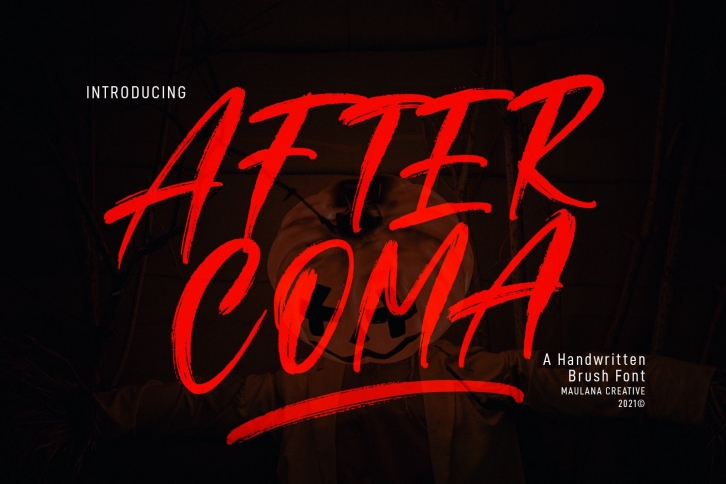After Coma Font Download
