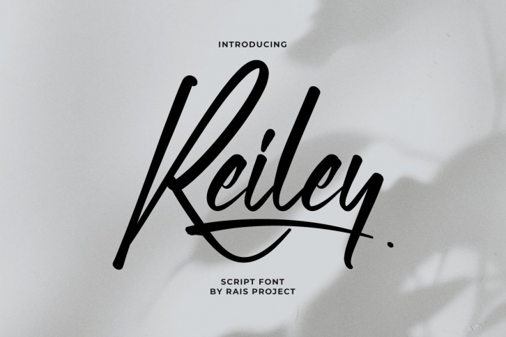 Reiley Font Download