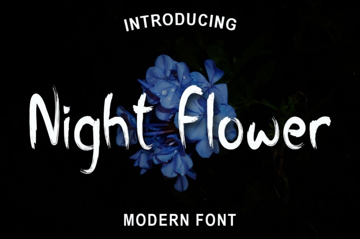 Night Flower Font Download