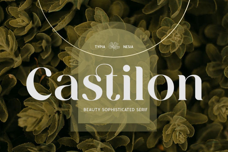 Castilon Font Download
