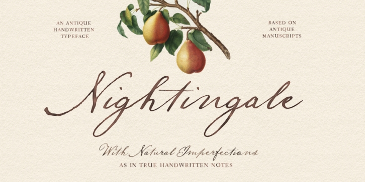 Nightingale Script Font Download