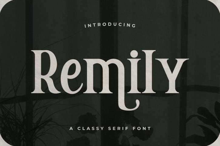 Remily – A Classy Serif Font Font Download
