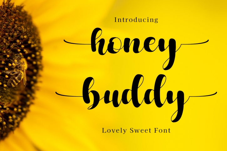 Honey Buddy Font Download