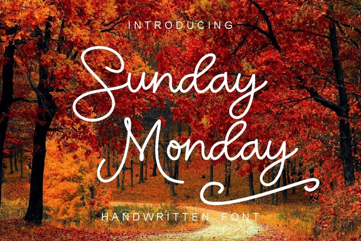 Sunday Monday Font Download