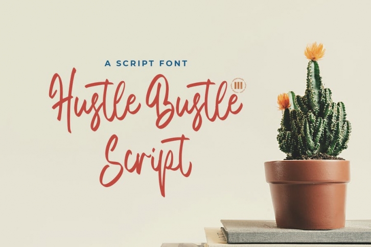 Hustle Bustle Script - A Casual Script Font Font Download