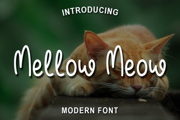 Mellow Meow Font Download