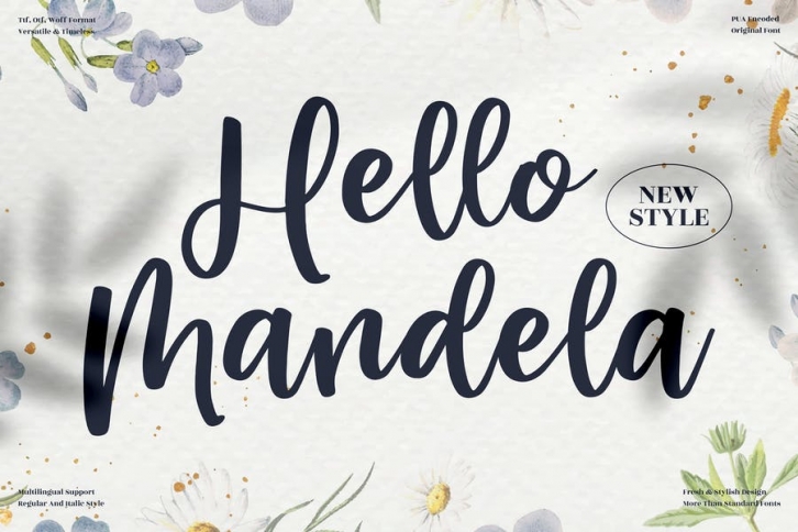 Hello Mandela Beautiful Script LS Font Download